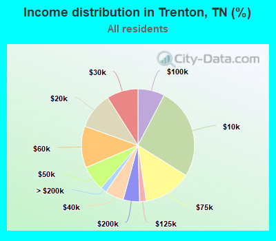 Income distribution in Trenton, TN (%)