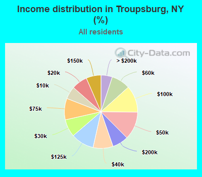 Income distribution in Troupsburg, NY (%)