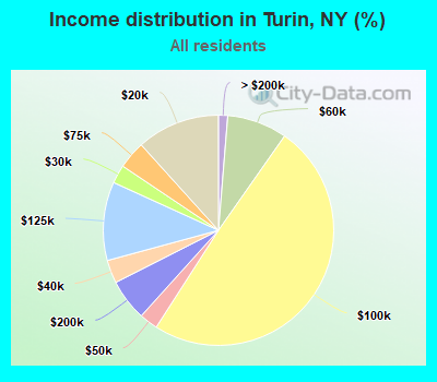 Income distribution in Turin, NY (%)