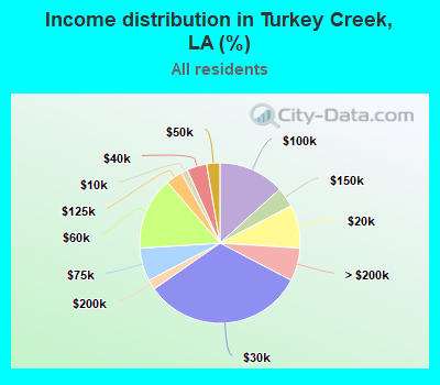 Income distribution in Turkey Creek, LA (%)