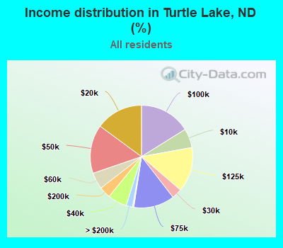 Income distribution in Turtle Lake, ND (%)