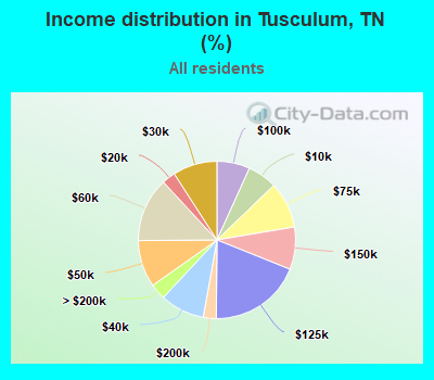 Income distribution in Tusculum, TN (%)