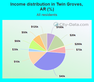 Income distribution in Twin Groves, AR (%)