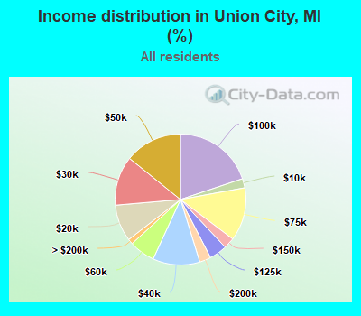 Income distribution in Union City, MI (%)