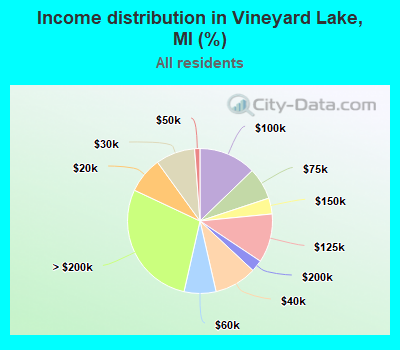 Income distribution in Vineyard Lake, MI (%)