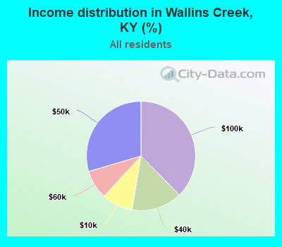 Income distribution in Wallins Creek, KY (%)