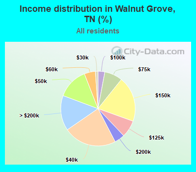 Income distribution in Walnut Grove, TN (%)