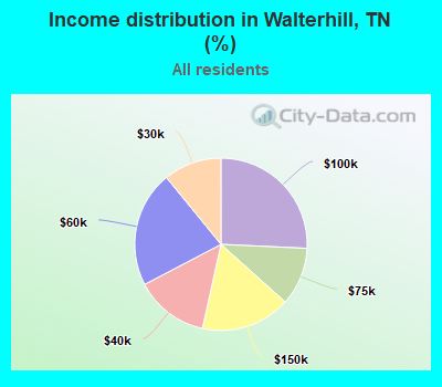 Income distribution in Walterhill, TN (%)