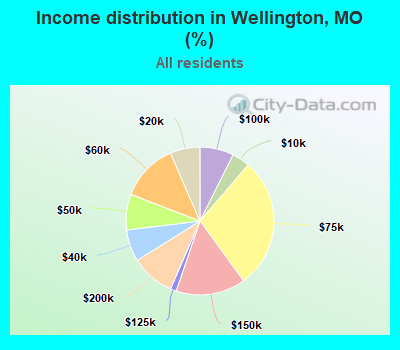 Income distribution in Wellington, MO (%)