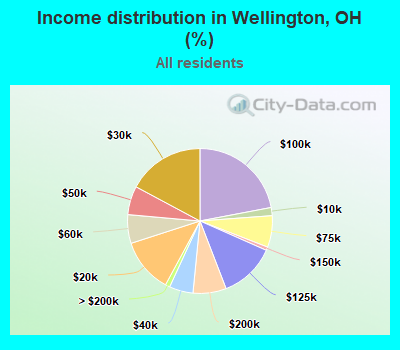 Income distribution in Wellington, OH (%)