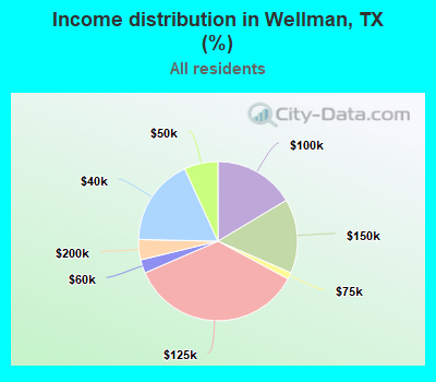 Income distribution in Wellman, TX (%)