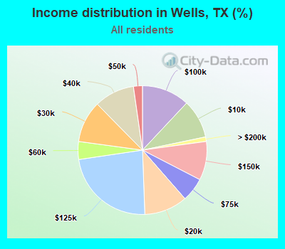 Income distribution in Wells, TX (%)