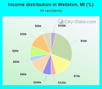 Income distribution in Wellston, MI (%)