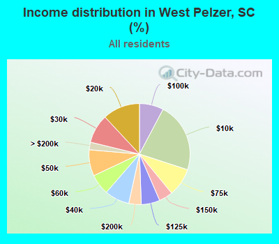 Income distribution in West Pelzer, SC (%)