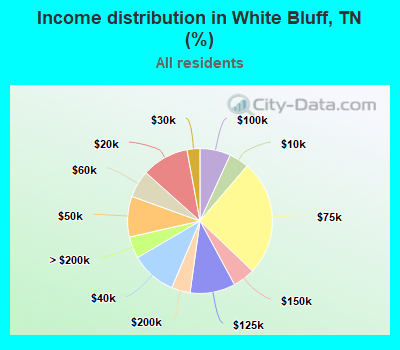 Income distribution in White Bluff, TN (%)