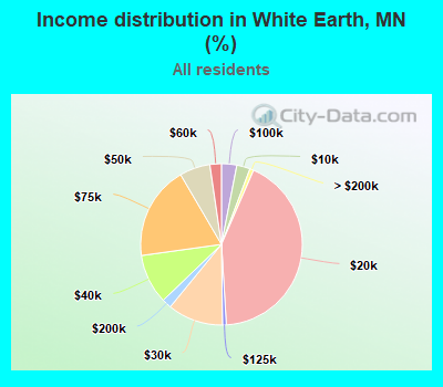 Income distribution in White Earth, MN (%)