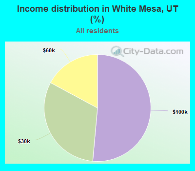 Income distribution in White Mesa, UT (%)