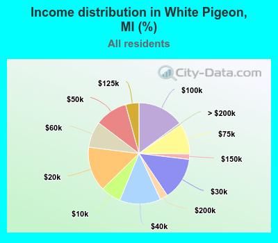 Income distribution in White Pigeon, MI (%)