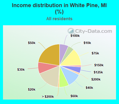 Income distribution in White Pine, MI (%)