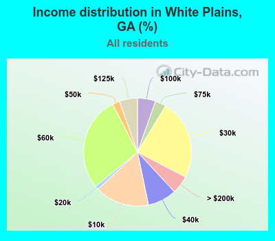 Income distribution in White Plains, GA (%)