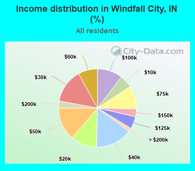 Income distribution in Windfall City, IN (%)
