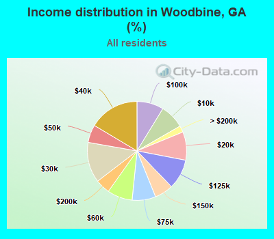 Income distribution in Woodbine, GA (%)