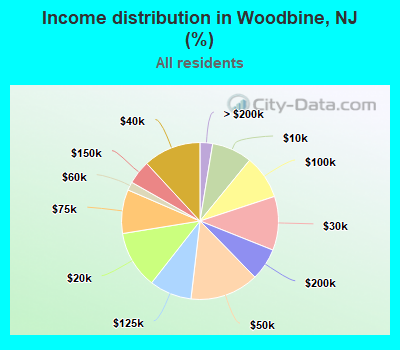 Income distribution in Woodbine, NJ (%)