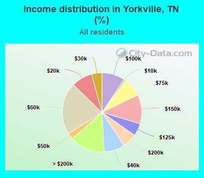 Income distribution in Yorkville, TN (%)