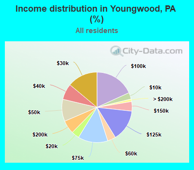 Income distribution in Youngwood, PA (%)