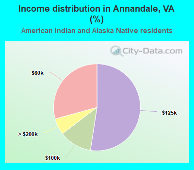 Income distribution in Annandale, VA (%)