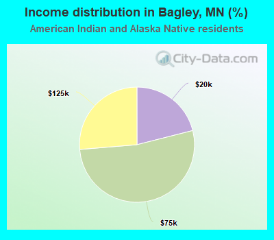 Income distribution in Bagley, MN (%)