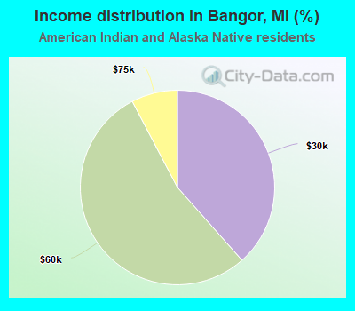 Income distribution in Bangor, MI (%)