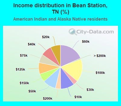 Income distribution in Bean Station, TN (%)