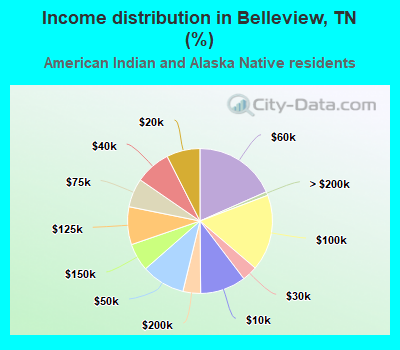 Income distribution in Belleview, TN (%)