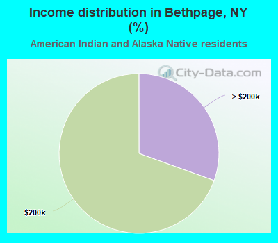 Income distribution in Bethpage, NY (%)