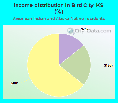 Income distribution in Bird City, KS (%)