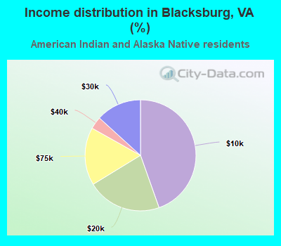 Income distribution in Blacksburg, VA (%)