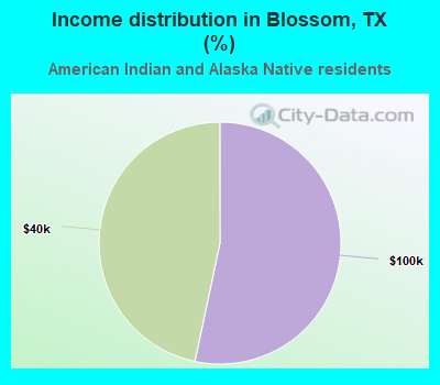 Income distribution in Blossom, TX (%)