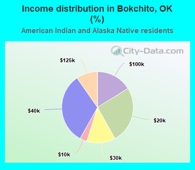 Income distribution in Bokchito, OK (%)