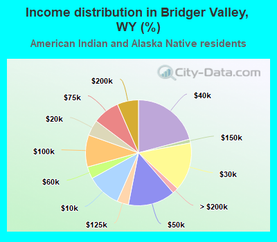 Income distribution in Bridger Valley, WY (%)