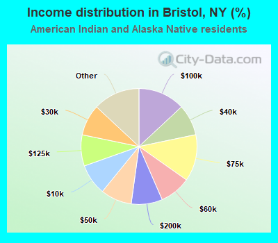 Income distribution in Bristol, NY (%)
