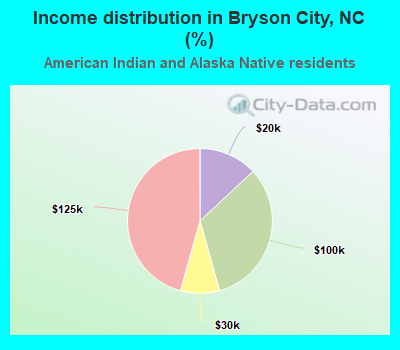 Income distribution in Bryson City, NC (%)