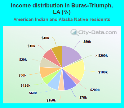 Income distribution in Buras-Triumph, LA (%)
