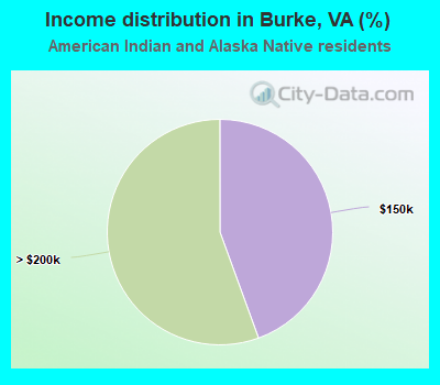 Income distribution in Burke, VA (%)