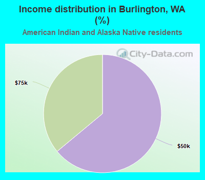 Income distribution in Burlington, WA (%)