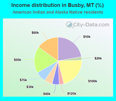 Income distribution in Busby, MT (%)