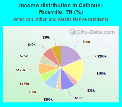 Income distribution in Calhoun-Riceville, TN (%)