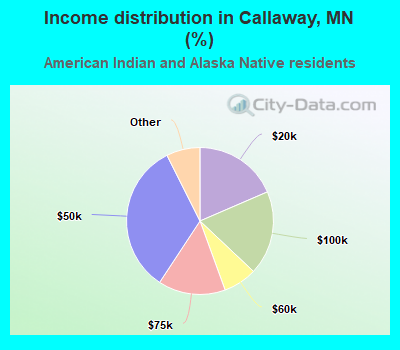 Income distribution in Callaway, MN (%)