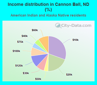 Income distribution in Cannon Ball, ND (%)