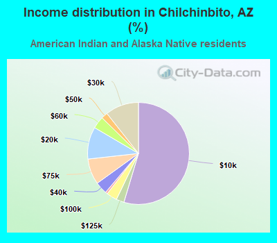 Income distribution in Chilchinbito, AZ (%)